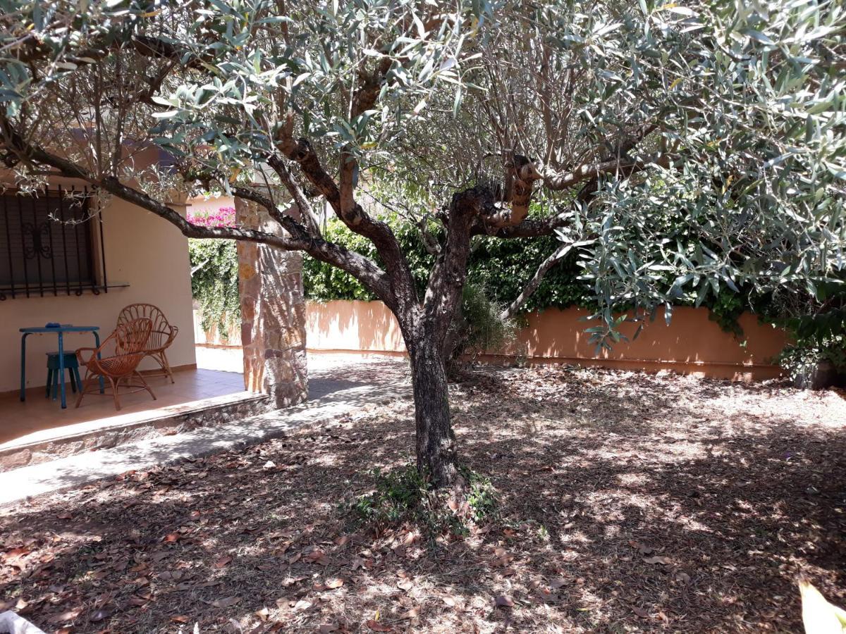 Casa amb jardí a poble de l'Alt Empordà Vila Vilaur Exterior foto