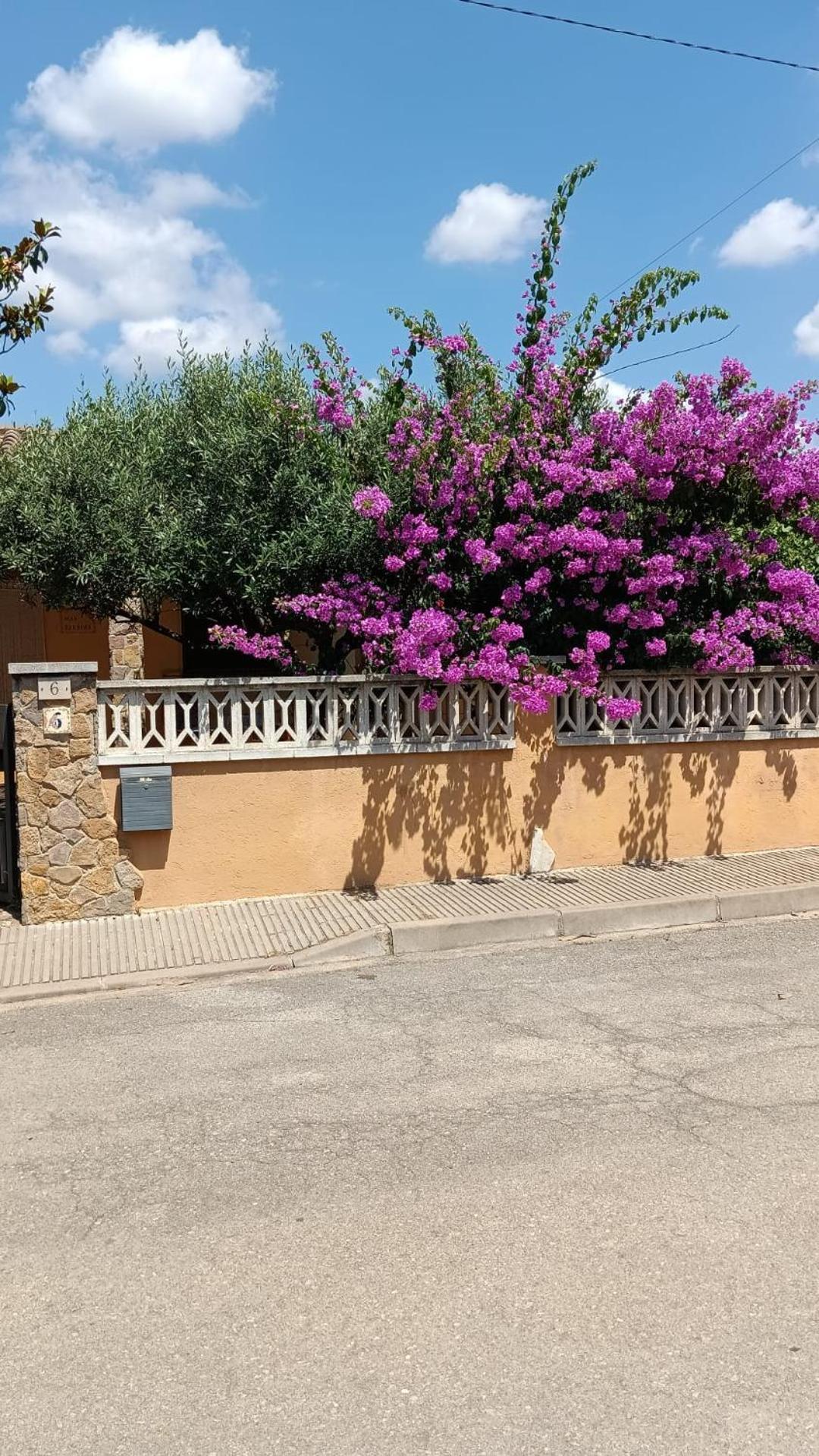 Casa amb jardí a poble de l'Alt Empordà Vila Vilaur Exterior foto
